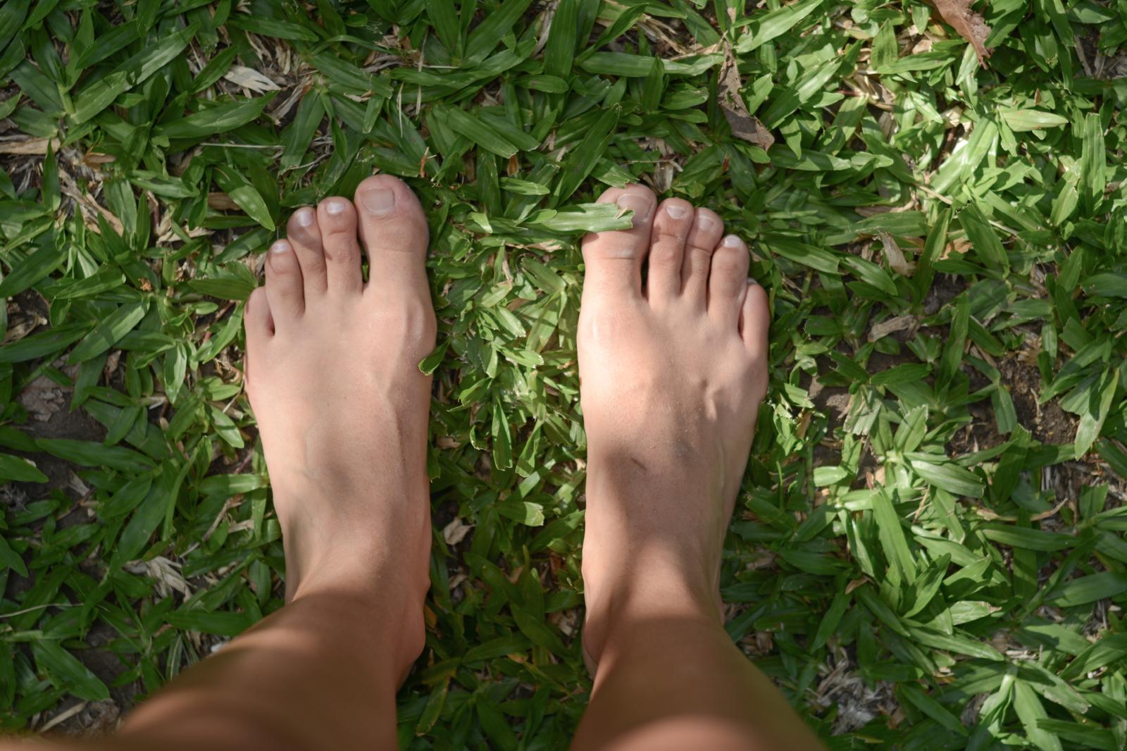 Naturaleza y conexión